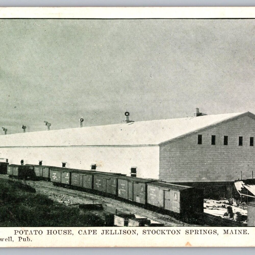 Vintage Postcard Of Potato House Cape Jellison Stockton Springs Maine  #1298